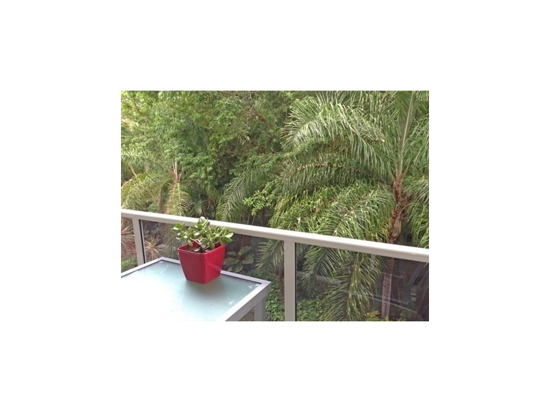 231/241 Coral Coast Drive, Palm Cove QLD 4879