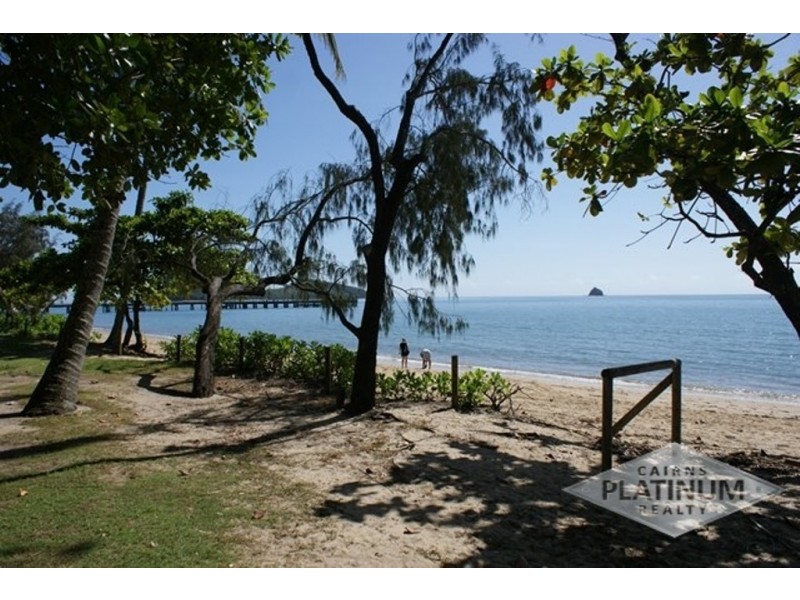 63 Terebra Street, Palm Cove QLD 4879