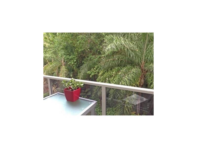 231/241 Coral Coast Drive, Palm Cove QLD 4879