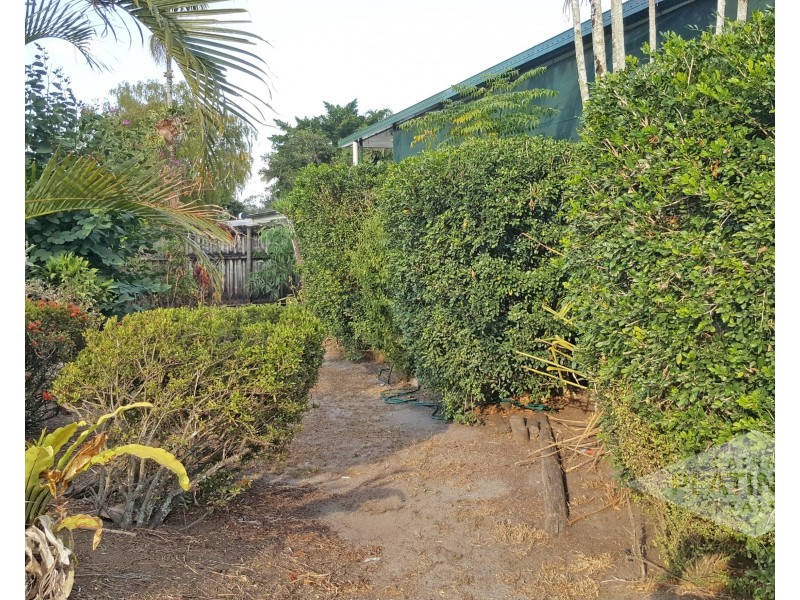 111 Reed Road, Trinity Park QLD 4879