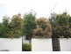 Clayfield QLD 4011