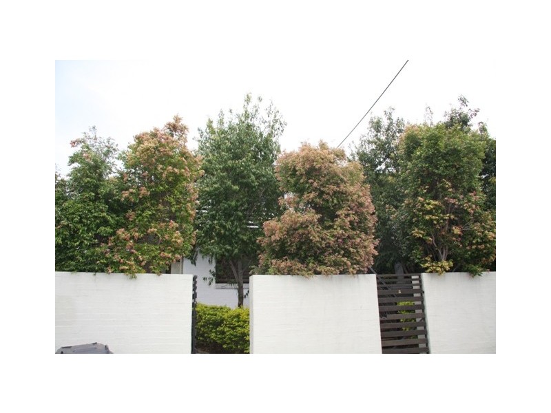 Clayfield QLD 4011