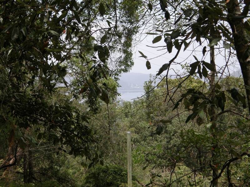 100 Woy Woy Bay Rd, Woy Woy Bay NSW 2256