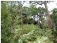 100 Woy Woy Bay Rd, Woy Woy Bay NSW 2256