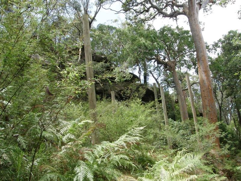 100 Woy Woy Bay Rd, Woy Woy Bay NSW 2256