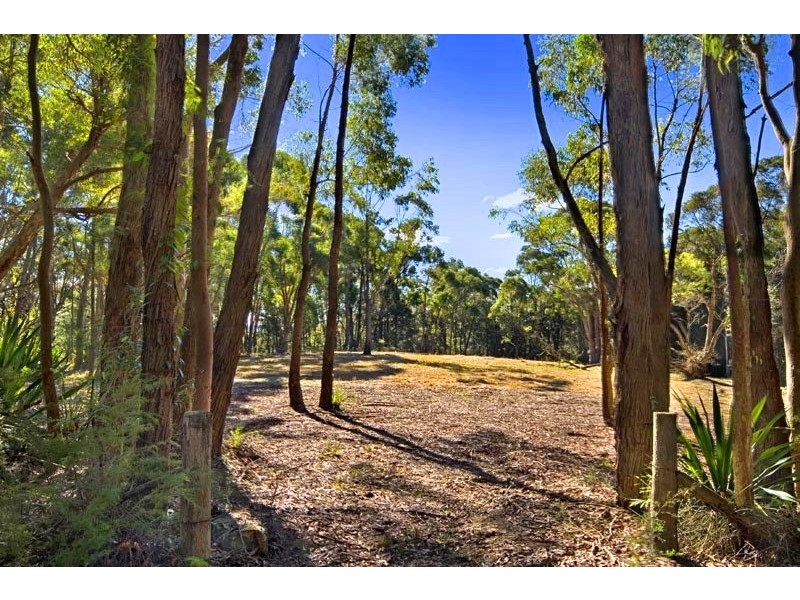 664 Dog Trap Road, Somersby NSW 2250