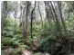 203 Phegans Bay Road, Phegans Bay NSW 2256