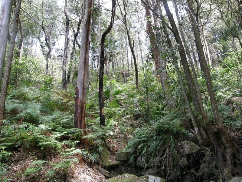 203 Phegans Bay Road, Phegans Bay NSW 2256