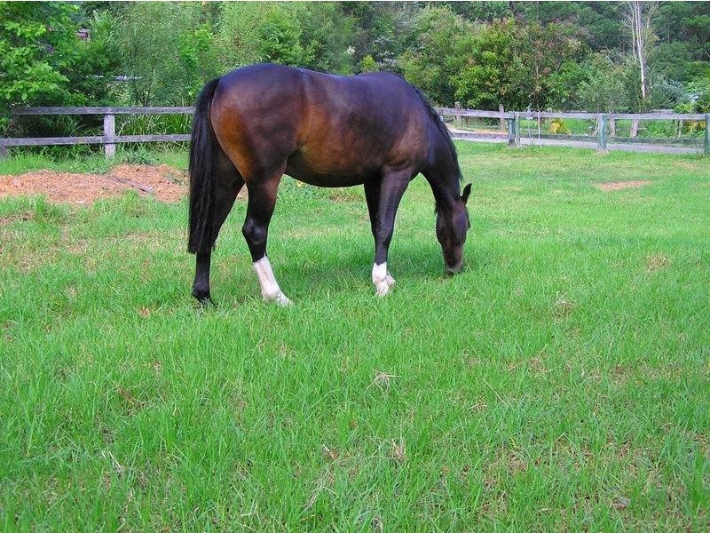 48 Pomona Road, Empire Bay NSW 2257