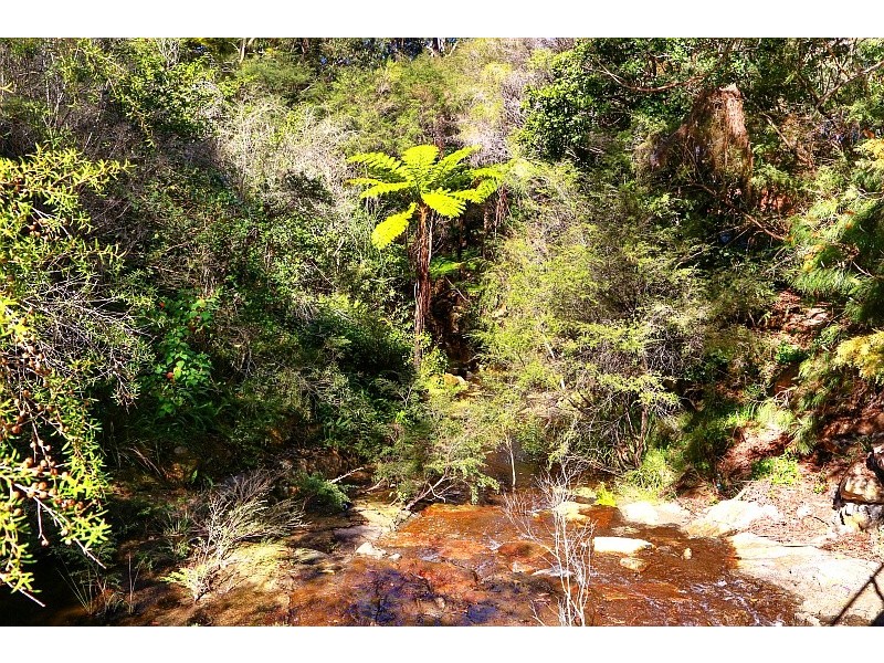 51 Tourmaline Avenue, Pearl Beach NSW 2256