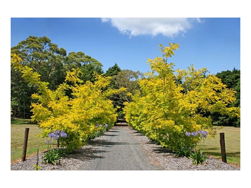 Lot 417 Maitland Bay Drive, Killcare Heights NSW 2257