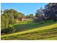 320 Scenic Highway, Terrigal NSW 2260