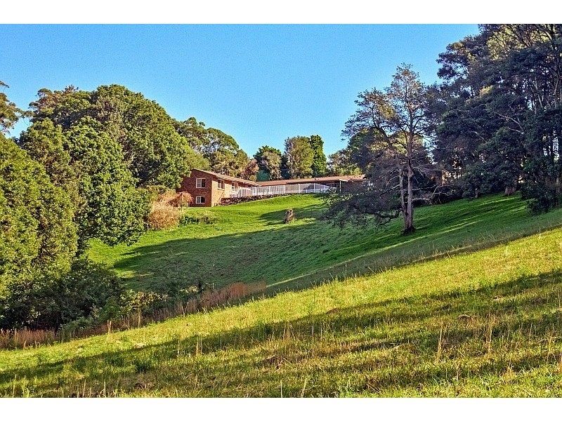 320 Scenic Highway, Terrigal NSW 2260
