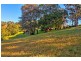 320 Scenic Highway, Terrigal NSW 2260