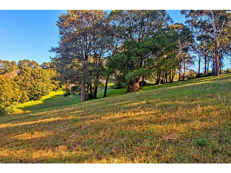 320 Scenic Highway, Terrigal NSW 2260