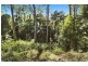 57 Pomona Road, Empire Bay NSW 2257