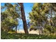 14 Pearl Parade, Pearl Beach NSW 2256