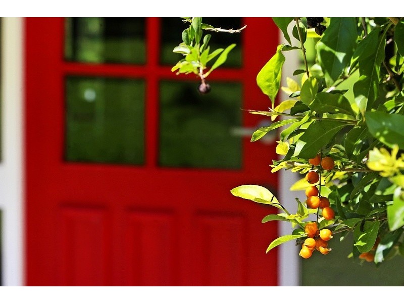 438 Tumbi Road, Wamberal NSW 2260