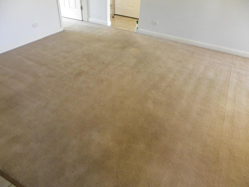 1/73 Primrose Street, Sherwood QLD 4075