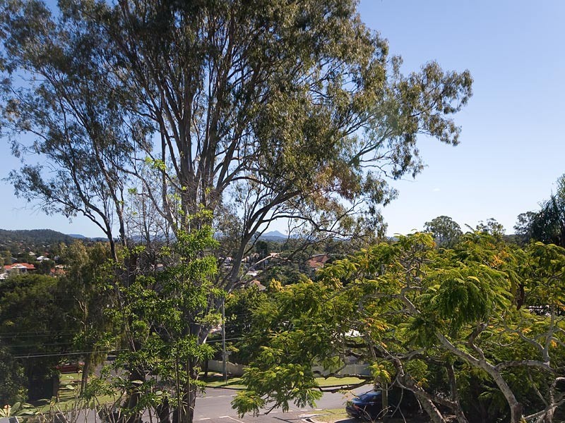 8 Marne Street, Alderley QLD 4051