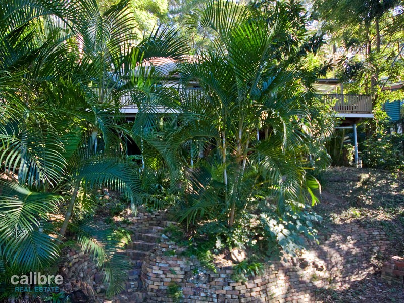 71 Forrester Terrace, Bardon QLD 4065