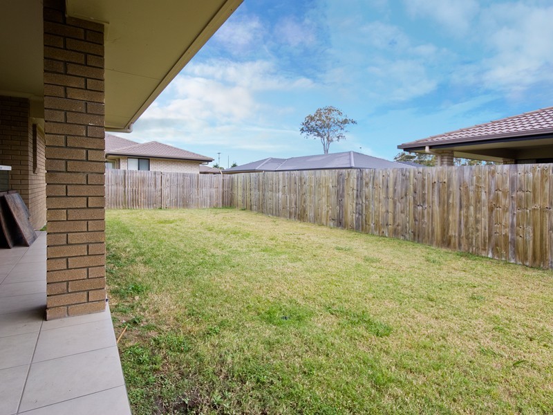 43 Daintree Street, Bellmere QLD 4510