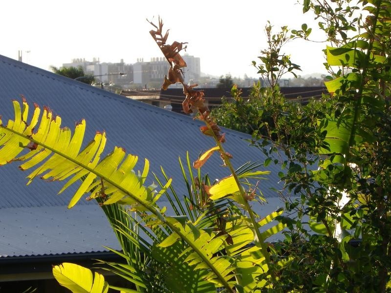 4/11 Henry Street, Greenslopes QLD 4120