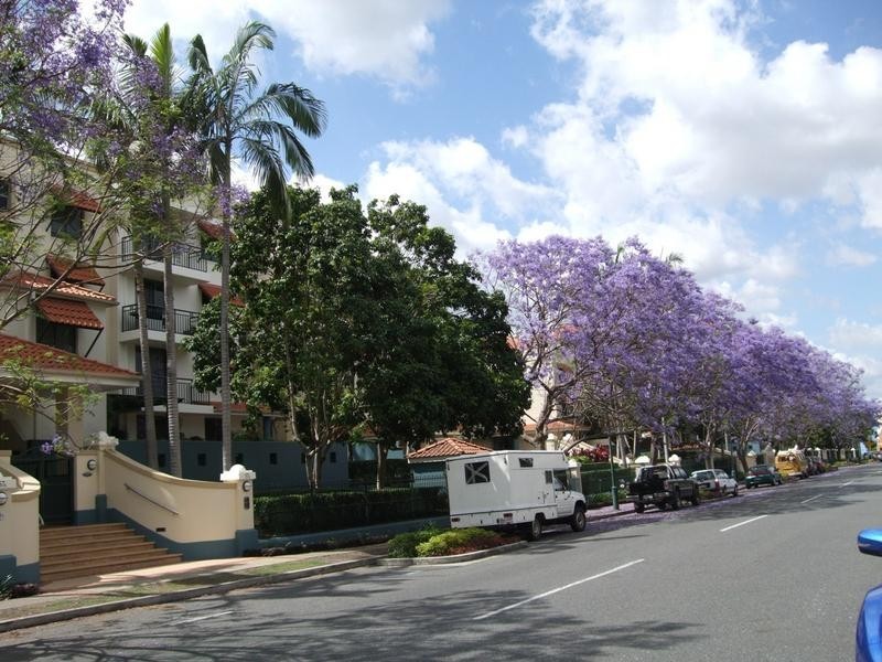 57A Newstead Tce, Newstead QLD 4006