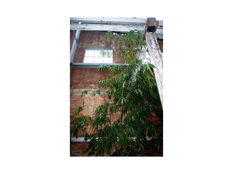 8 – 16 Skyring Tce, Teneriffe QLD 4005