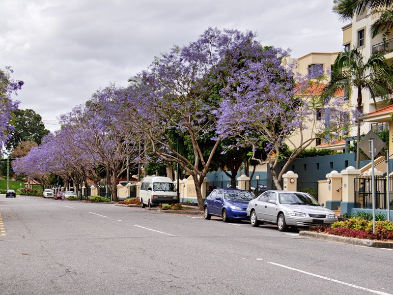 52 Newstead Tce, Newstead QLD 4006