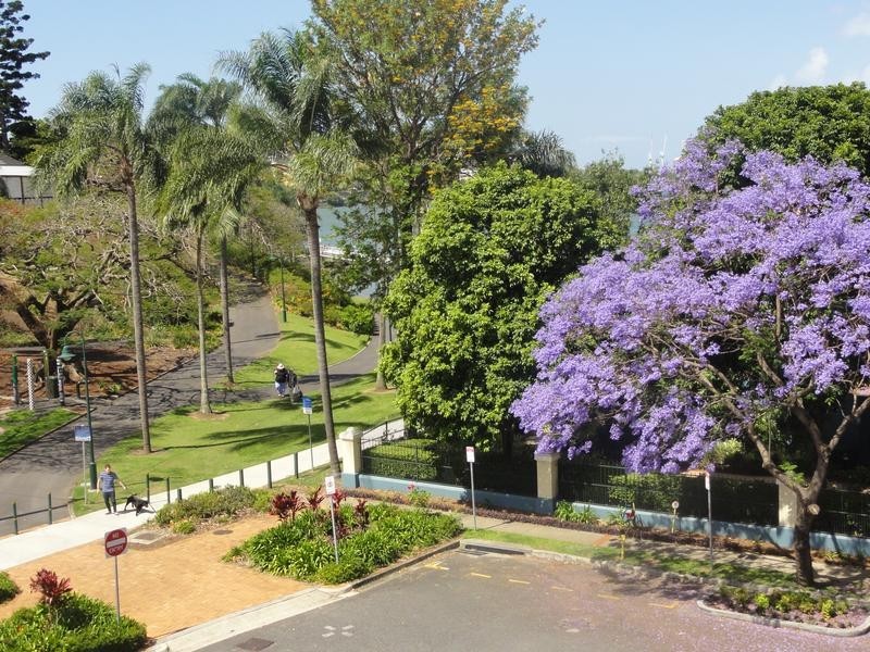 15 Newstead Ave, Newstead QLD 4006