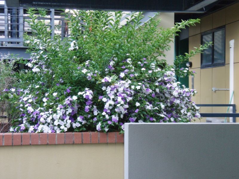 ./139 Commercial Road, Teneriffe QLD 4005