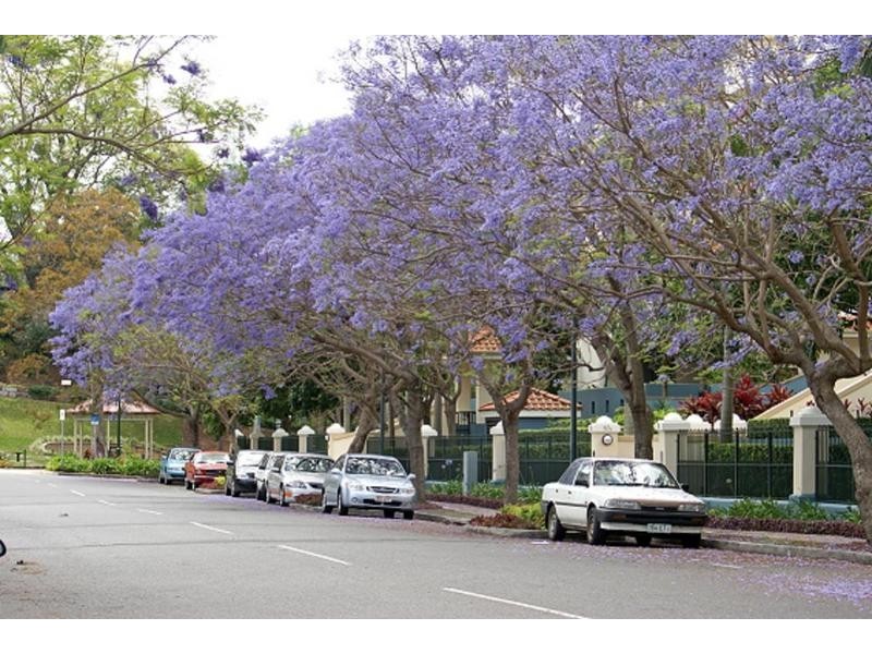 12/32 Newstead Tce., Newstead QLD 4006