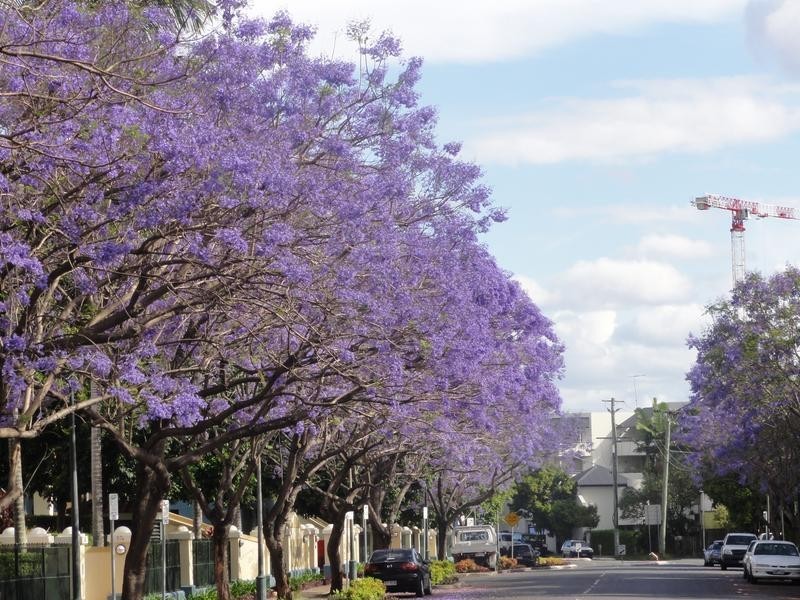 52 Newstead Terrace, Newstead QLD 4006