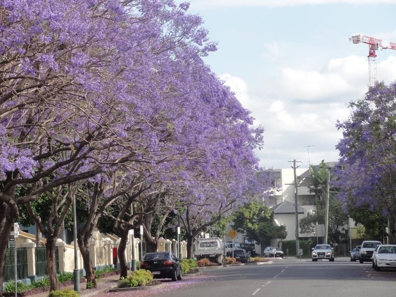 32 Newstead Terrace, Newstead QLD 4006