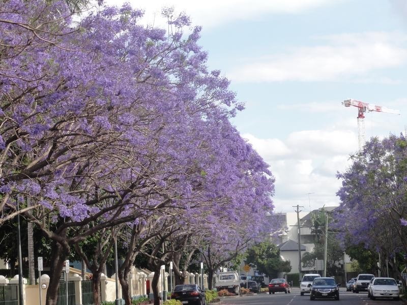 Lot 42, 404/42 Newstead Tce, Newstead QLD 4006