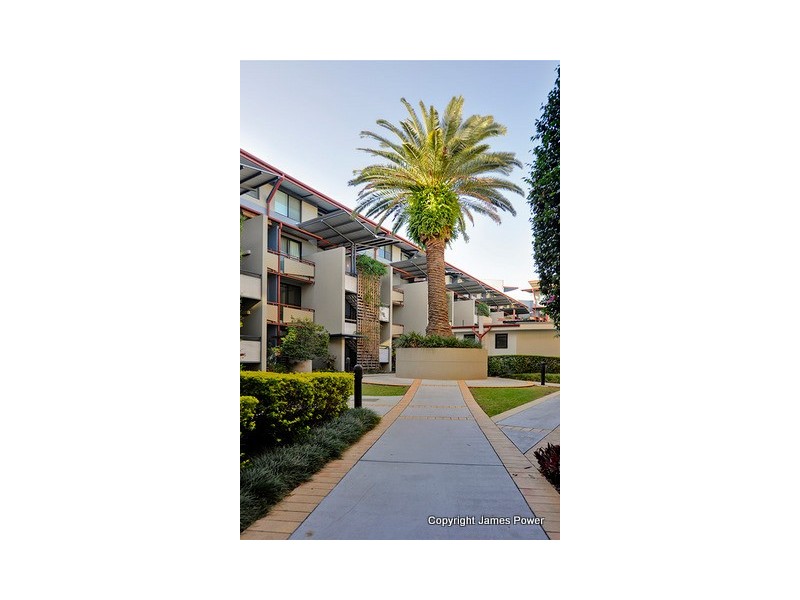 42 Florence St, Teneriffe QLD 4005