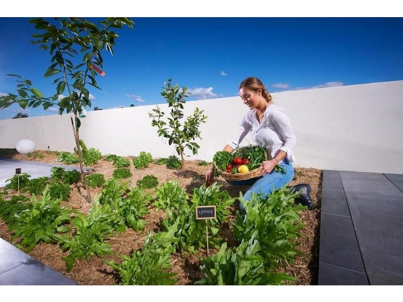 706/53 Wyandra St, Teneriffe QLD 4005