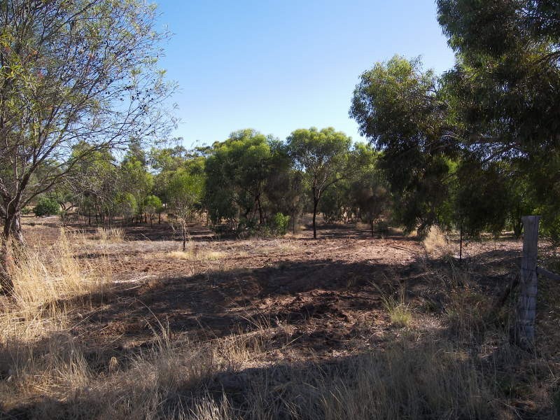 60 Roe Street, York WA 6302