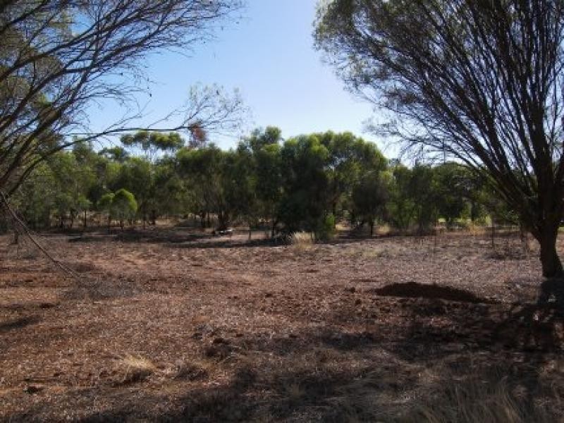 60 Roe Street, York WA 6302