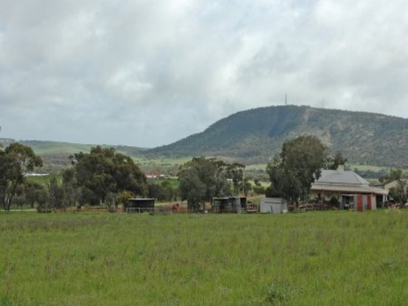 York WA 6302
