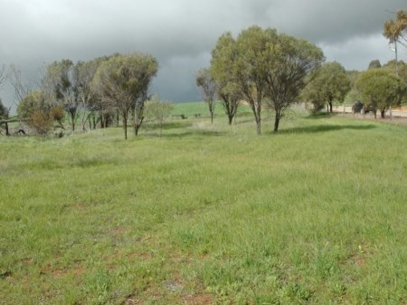 York WA 6302