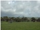 York WA 6302