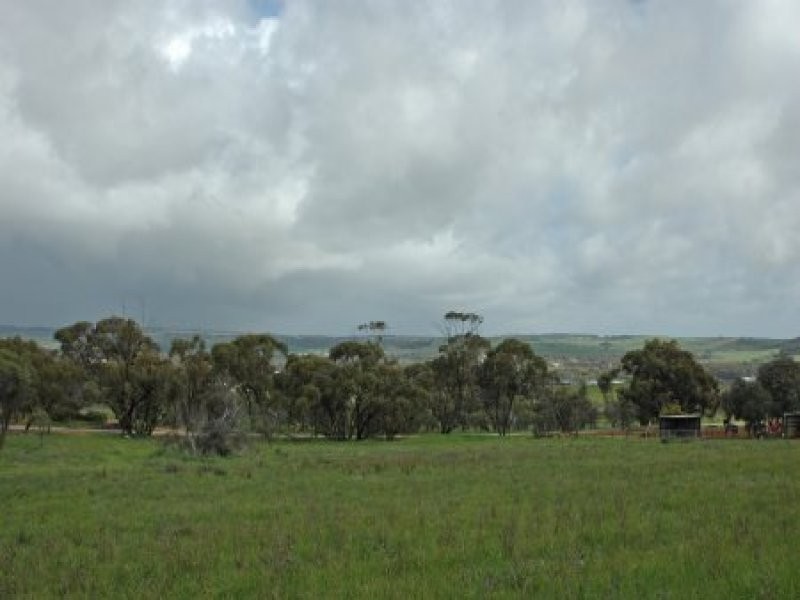 York WA 6302