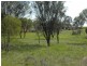 York WA 6302