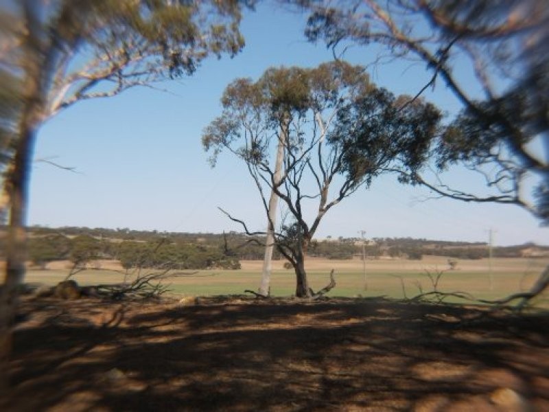 Quairading WA 6383