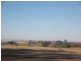 Quairading WA 6383