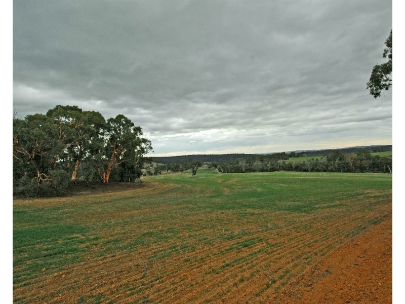 12209 Herdigan Road, Wandering WA 6308