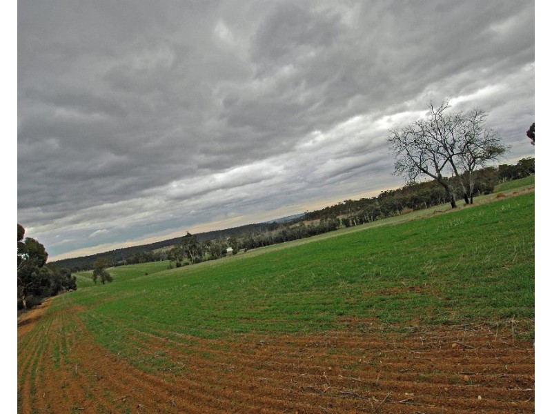 12209 Herdigan Road, Wandering WA 6308