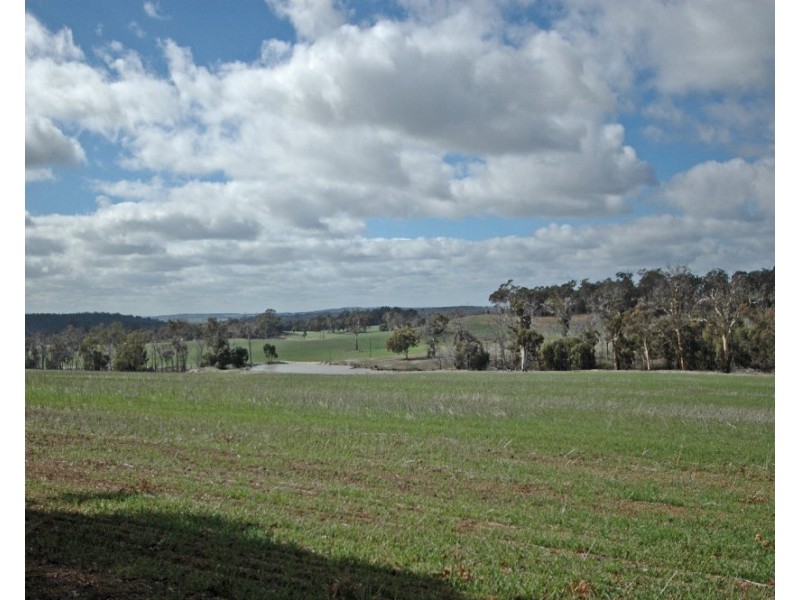 12209 Herdigan Road, Wandering WA 6308